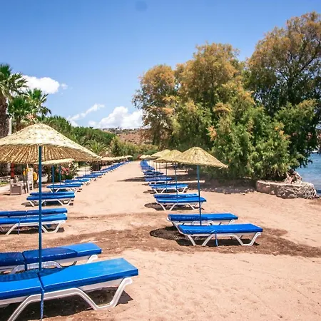 Hotell Club Muskebi Bodrum