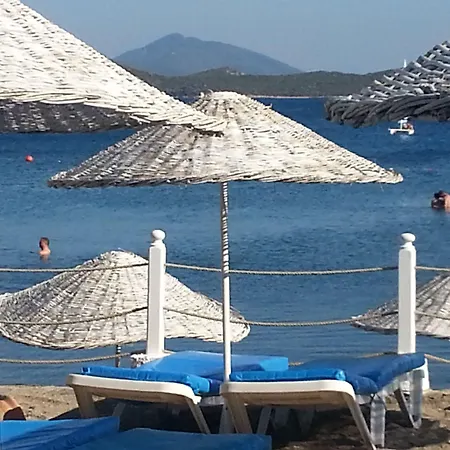 Club Muskebi