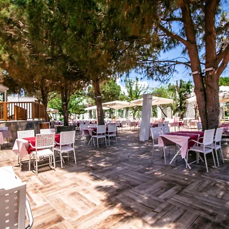 Hotell Club Muskebi Bodrum