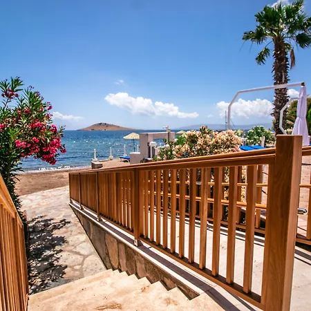 Hotell Club Muskebi