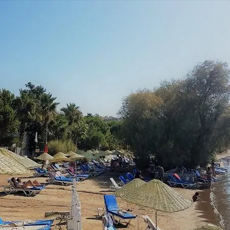 Hotel Club Muskebi 4*