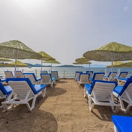 Club Muskebi بودروم