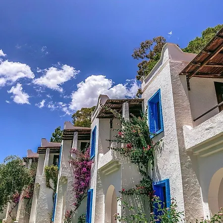 Club Muskebi فندق