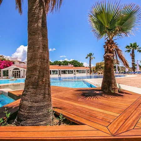 Club Muskebi بودروم