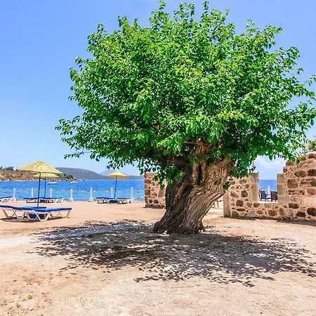 Club Muskebi Hotel 4*