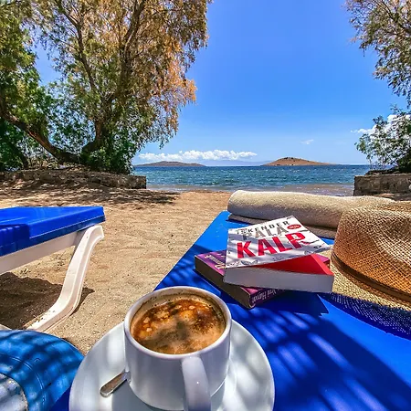 Club Muskebi فندق بودروم