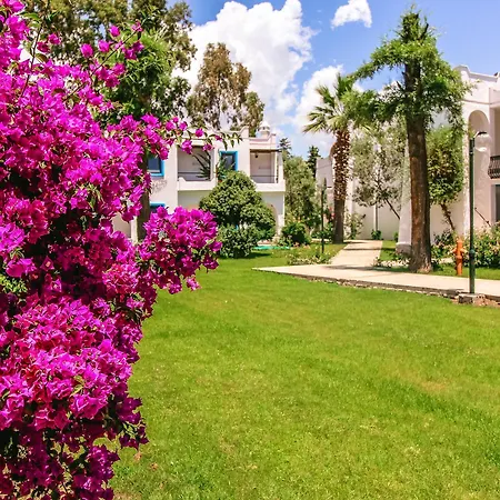 Hotel Club Muskebi 4*