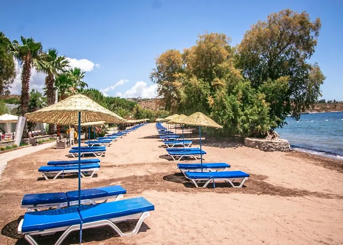 Szálloda Club Muskebi Bodrum