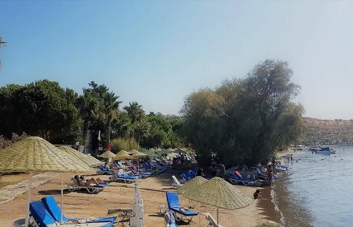 Szálloda Club Muskebi 4*
