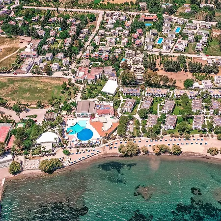 Club Muskebi 4* Бодрум