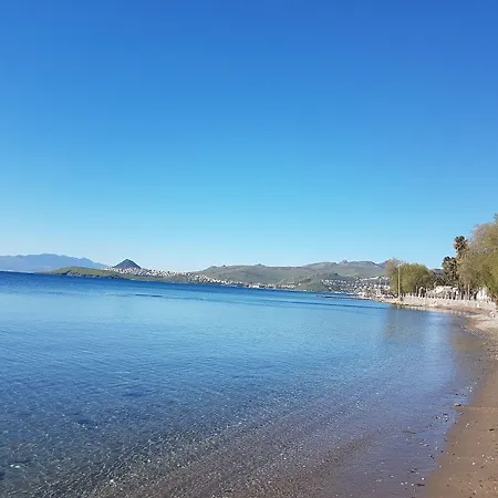 Otel Club Muskebi Bodrum