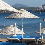 Club Muskebi