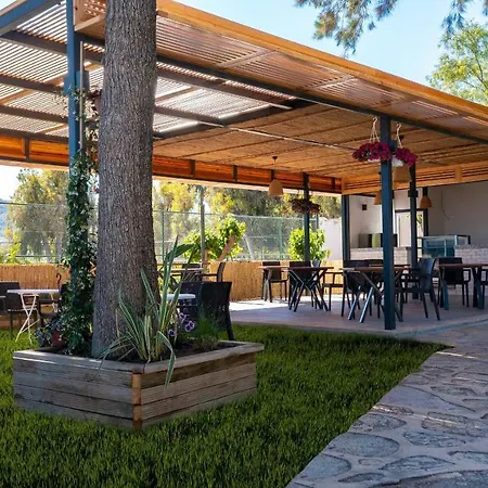 Hotel Club Muskebi